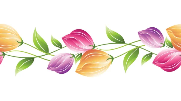 Varrat nélküli tulipán virágos szegély design fehér háttér — Stock Fotó