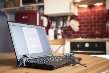 Seyir vasıl belgili tanımlık perde gibi görünüyor küçük dinozor oyuncakları ile ahşap masa üstünde açık laptop. Doğal ışık.
