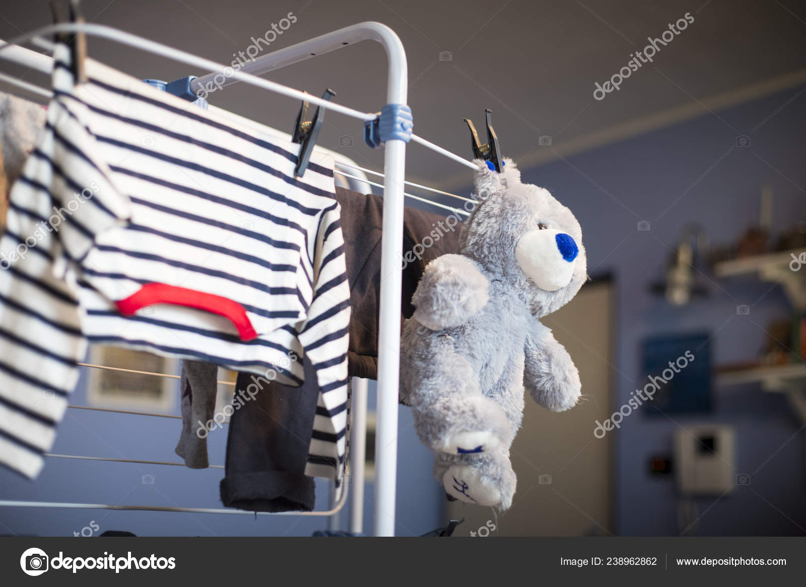 teddy laundry