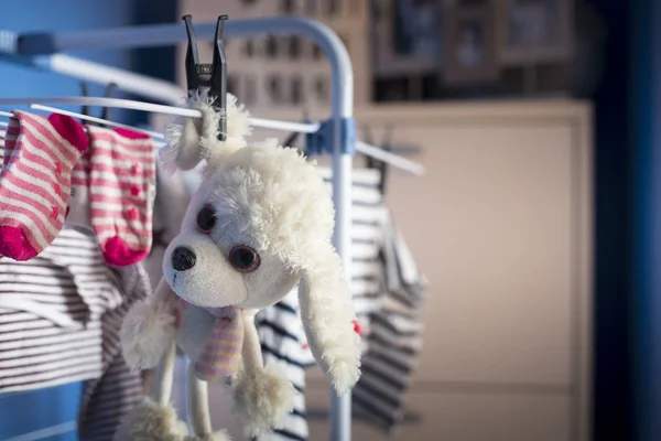 white dog plush toy hanging dry with laundry clothes after being washed. Close-up with copy space.