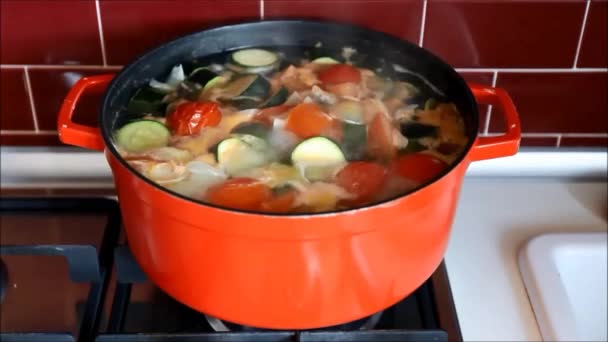 Panela Vermelha Com Sopa Legumes Fervente Fogão Cozinha Borgonha — Vídeo de Stock