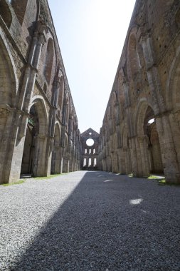 San Galgano Manastırı'nın merkezi nef.