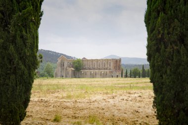 İki selvi arasında san galgano manastırının uzak görünümü.