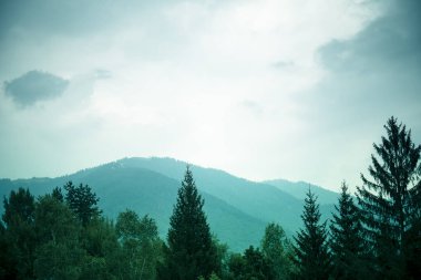 Yeşil filtre ile ağaçlar ve gri gökyüzü ile dağlar arka plan