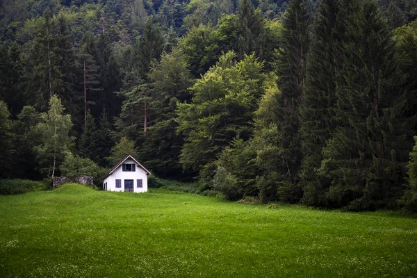 Paysage de montagne avec cabine blanche et prairie — Photo