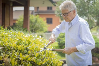 yaşlı bir adam Bahçe