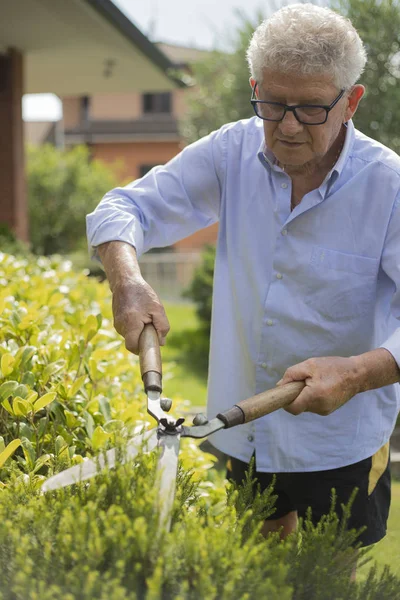 yaşlı bir adam Bahçe