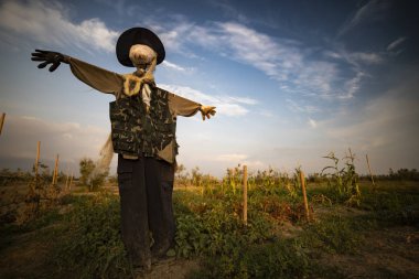 Gün batımı arka planda korkuluk.