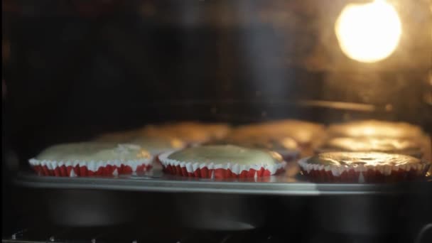 Tid förflutit muffins bakning i ugnen — Stockvideo