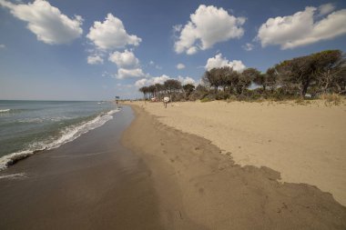 Marina di Alberese beach, Toskana, İtalya.