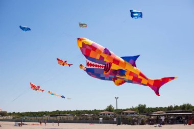 Vittoria, Rosolina Mare, Veneto, İtalya sahillerinde bir sürü büyük renkli uçurtma uçuyor..