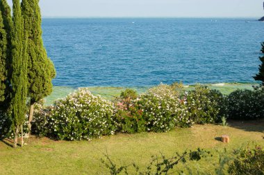 Açık mavi suların manzarası ve San Biagio adasındaki yeşil çiçekli plaj, Manerba del Garda, Garda Gölü, Lombardy, İtalya.