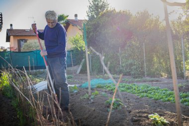 70 yaşında bir adam bahçesinde kürekle sebze yetiştiriyor. İşaret fişeği, ışık sızıntısı.