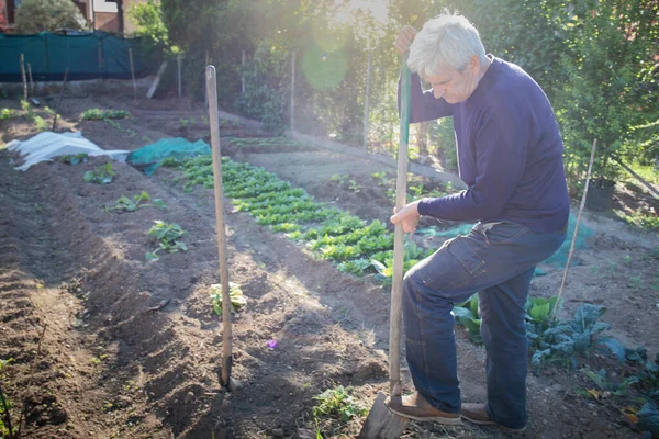 70 yaşında bir adam bahçesinde kürekle sebze yetiştiriyor. İşaret fişeği ve ışık sızıntısı