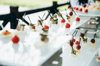 Masada düğün resepsiyonunda aperatifler