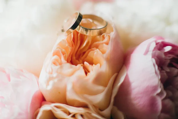 Snubní Prsteny Růžové Květy Zblízka — Stock fotografie