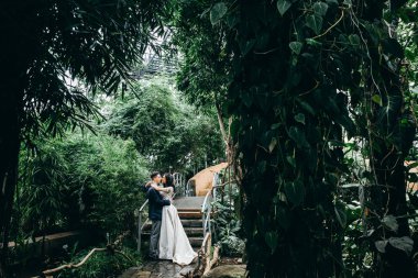 güzel genç çift öpüşme botanik bahçesi içinde yeni evliler