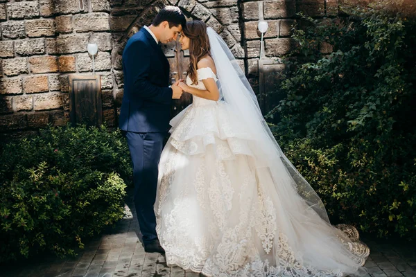 Feliz Jovem Lindo Casamento Casal — Fotografia de Stock