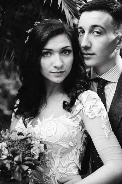 Botanik Bahçesi poz içinde yeni evliler güzel genç çift