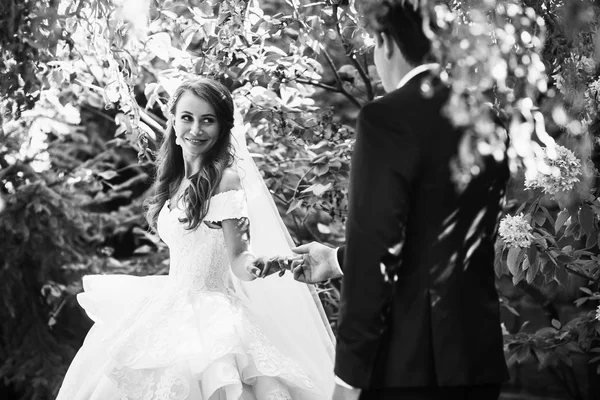 Счастливая Молодая Красивая Свадьба — стоковое фото
