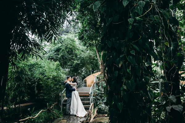 güzel genç çift öpüşme botanik bahçesi içinde yeni evliler