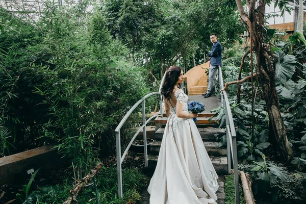 植物園で新婚の美しい若いカップル — ストック写真