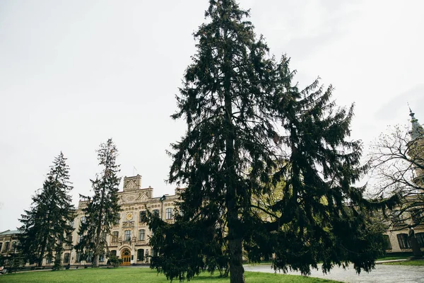 Kiev Politeknik Enstitüsü bulutlu gökyüzü altında doğal atış