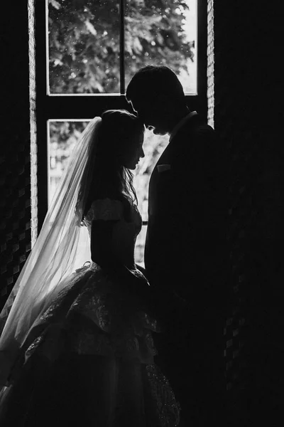 Happy Young Beautiful Wedding Couple — Stock Photo, Image