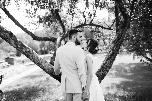 Happy Couple Young Newlyweds Kissing — Stock Photo, Image