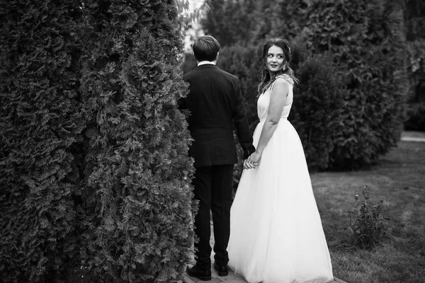 Belo Jovem Casal Recém Casados Livre — Fotografia de Stock