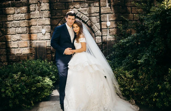 Feliz Joven Hermosa Boda Pareja — Foto de Stock