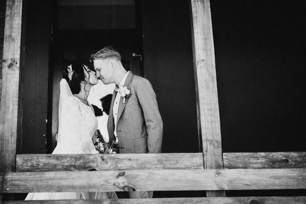 Feliz Casal Jovens Recém Casados Beijando — Fotografia de Stock