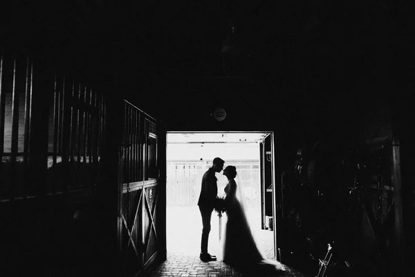 Happy Young Couple Newlyweds — Stock Photo, Image