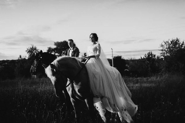 Feliz Casal Jovens Recém Casados Cavalos — Fotografia de Stock