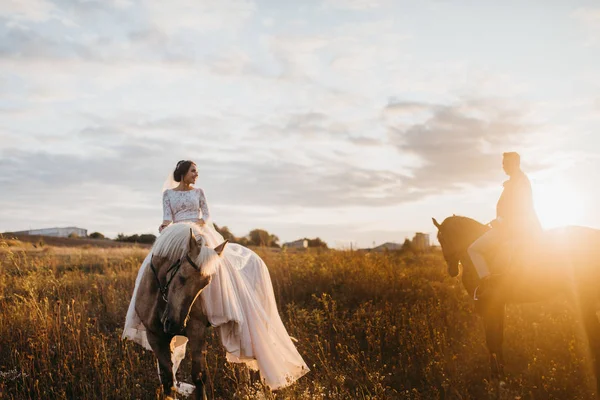 Delicate Beautiful Bride Horse — Stock Photo, Image