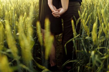 Güzel genç çift buğday tarlasında el ele tutuşuyor