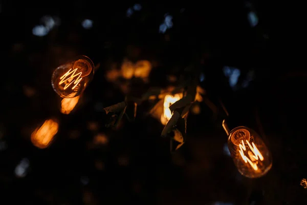 Лампочки Накаливания Свадебного Декора — стоковое фото
