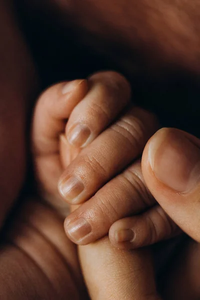 Retrato de la pequeña mano de la adorable niña recién nacida sostiene un dedo de padre, familia feliz disfruta de momentos tiernos, nacimiento y concepto de paternidad — Foto de Stock