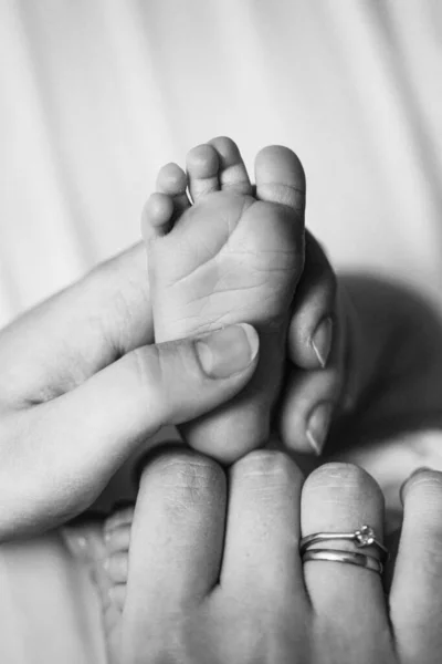 Porträt von entzückenden Beinchen mit winzigen Fingern, von entzückenden neugeborenen Mädchen, in fürsorglichen Armen der Eltern, glücklichen Familienmomenten, Geburt und Kindheitskonzept — Stockfoto