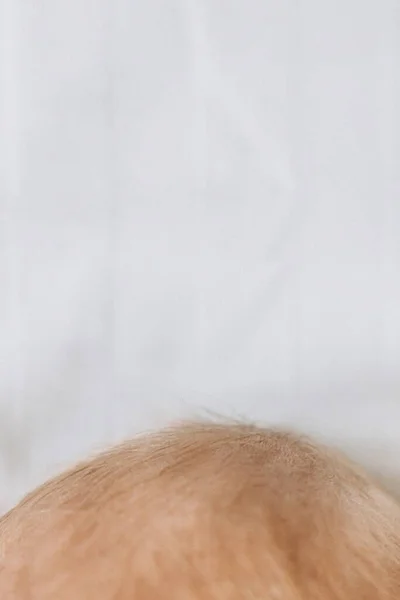 Retrato de cabelo pequeno bonito da menina recém-nascida, belo pequeno encontro humano um mundo, conceito de nascimento e infância — Fotografia de Stock