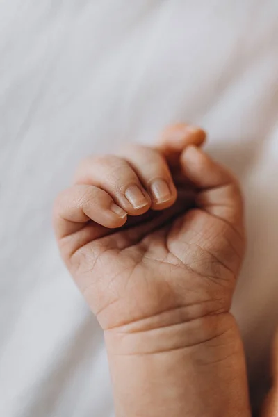 Porträt der schönen kleinen Hand mit winzigen Fingern von entzückenden neugeborenen Mädchen, genießen Sie die Begegnung mit einer Welt, Geburt und Kindheit Konzept — Stockfoto