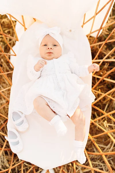 Портрет милой новорожденной девочки, лежащей в постели на поле, маленький ребенок смотреть вокруг с большим интересом, детство и материнство концепции — стоковое фото