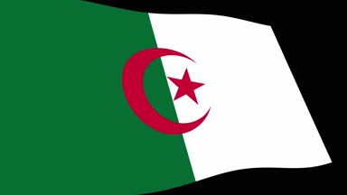 Cezayir bayrağı görüntülerini animasyon 4k yavaş siyah arka plan üzerine, perspektif görünüm sallayarak