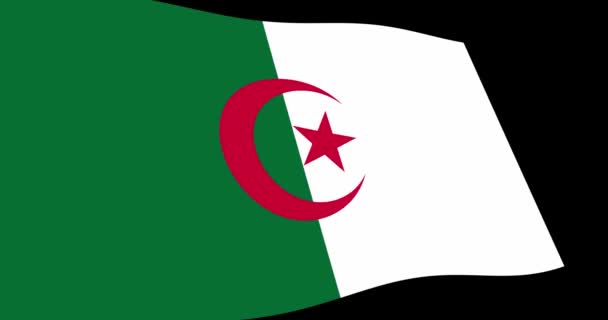 Анимация Кадры Алжира Флаг Медленно Махать Черном Фоне Перспективный Вид — стоковое видео
