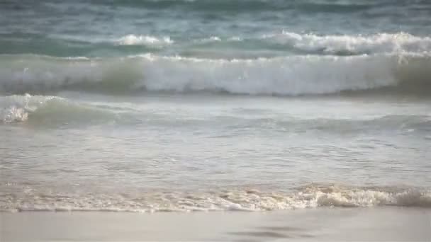 Windy Seafront Large Sea Wave Crashing Sandy Beach Shore Sunny — Stock Video