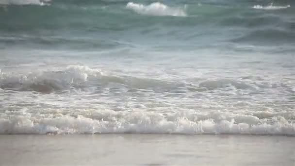 Windy Day Sea Wave Crashing Sandy Beach Sunny Day Telephoto — Stock Video