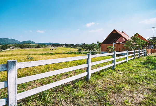 Cerca Branca Casa Fazenda Paisagem Rural Idílica Natureza Com Fundo — Fotografia de Stock