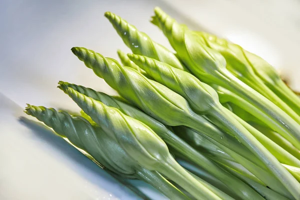 Nahaufnahme Frischer Grüner Mondblumenstrauch Ipomea Alba Essbares Duftendes Gemüse Auf — Stockfoto