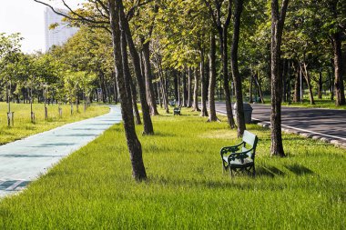 Rahatlatıcı, yaşam tarzı kavramı. Parkta bisiklet şeritli ile yeşil çim sahada eski yeşil tezgah.