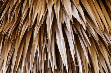 Yakın, birbirlerinin üzerinde yığılmış eski ağacının kahverengi kurutulmuş yaprakların seçici odak. Soyut doğa dokulu arka plan.